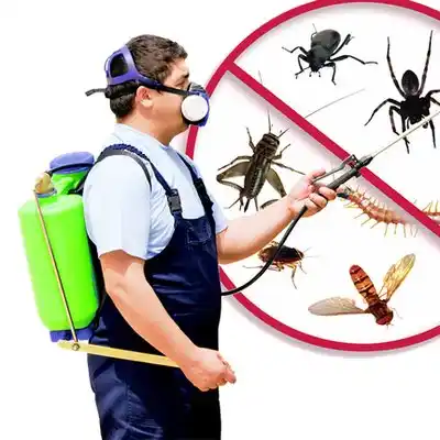 pest control Eden Isle